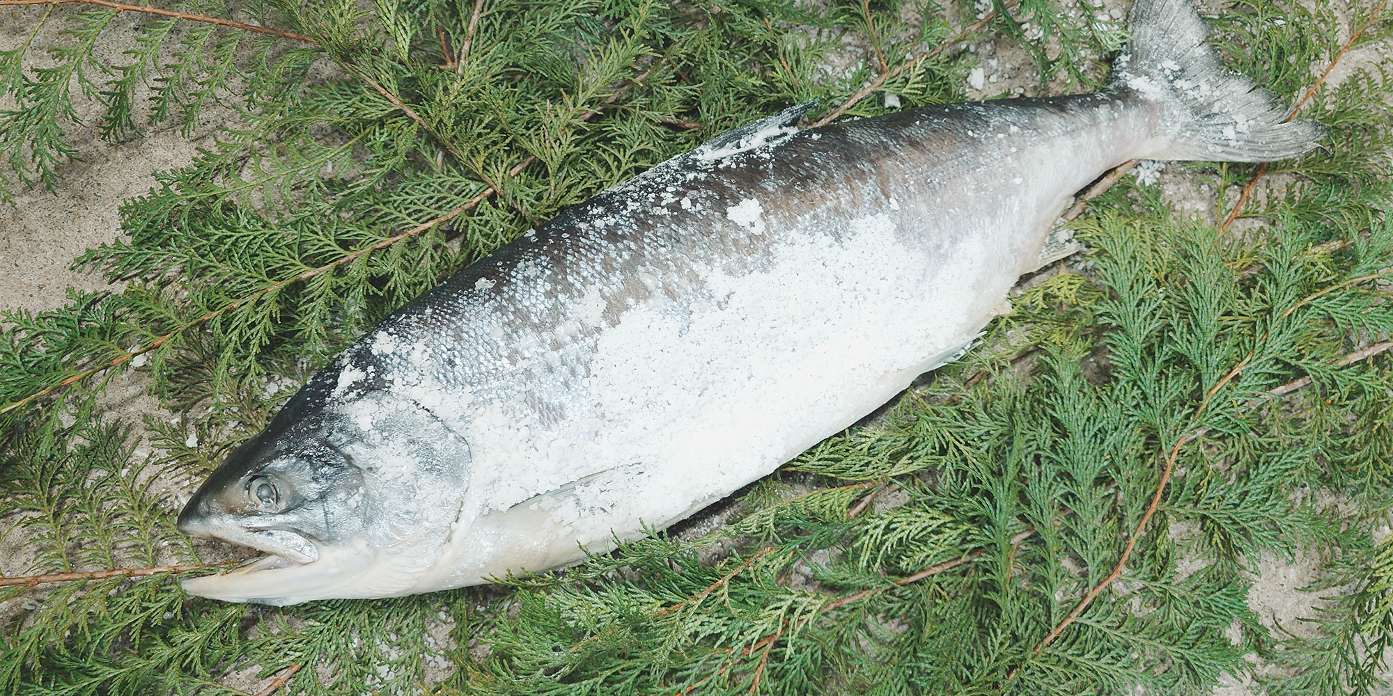 豊洲市場 北晃水産