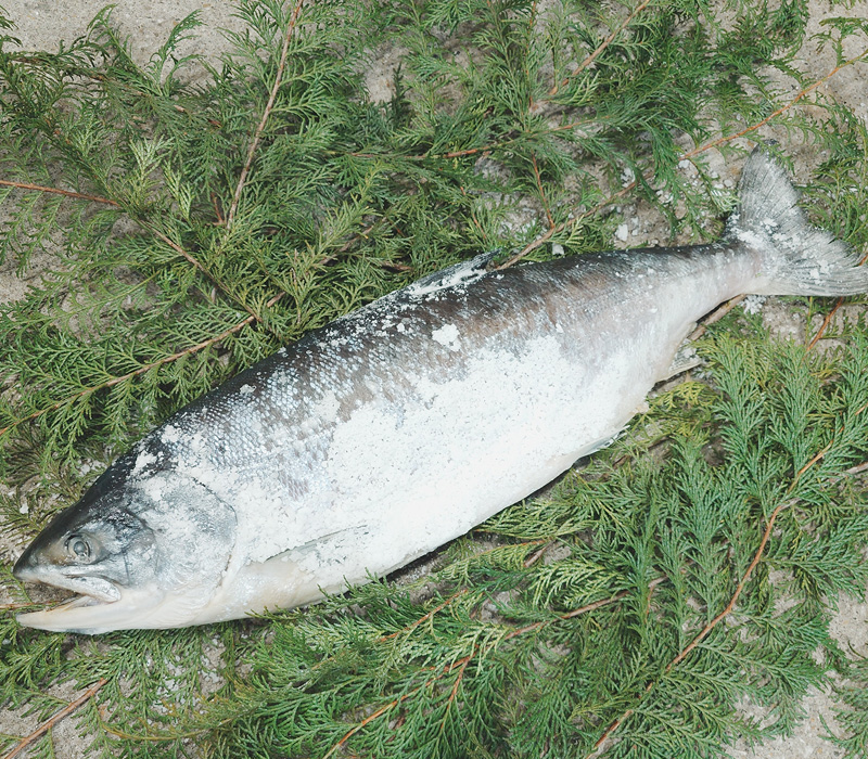 豊洲市場 北晃水産
