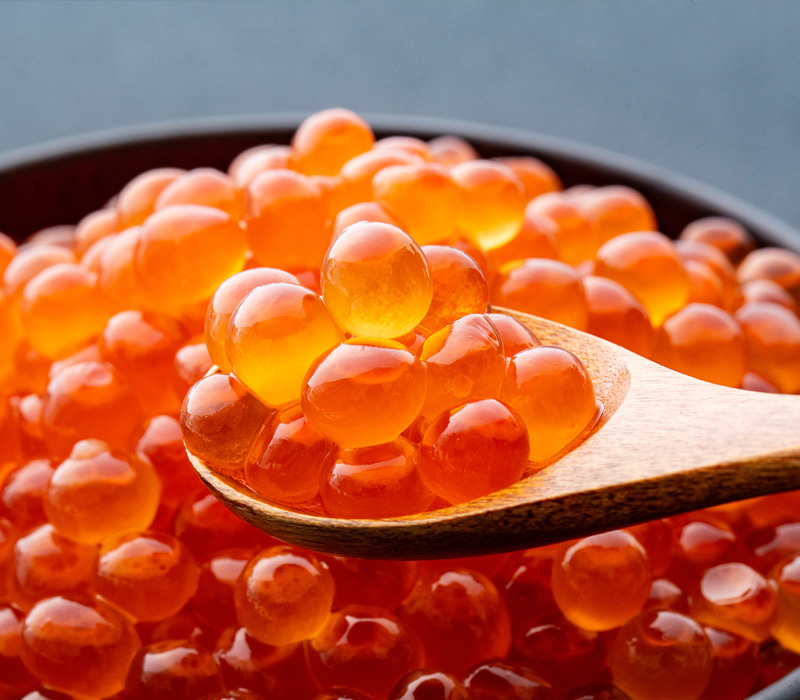 豊洲市場 北晃水産