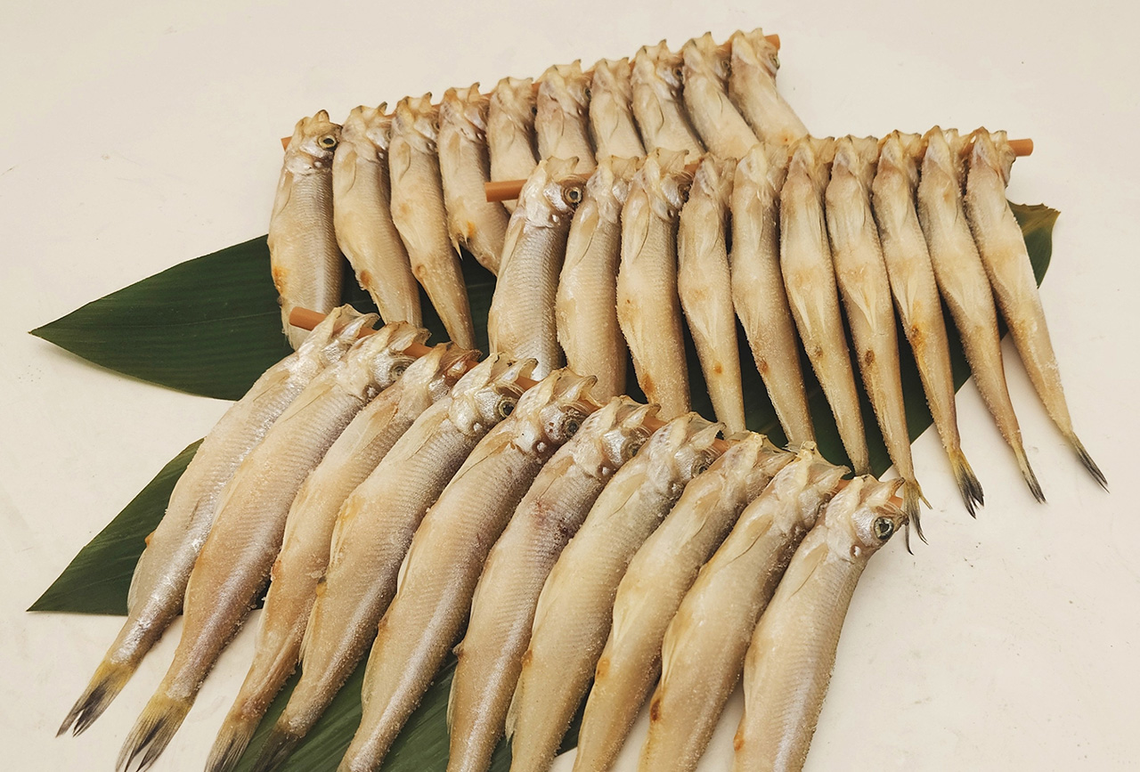 写真：ししゃも