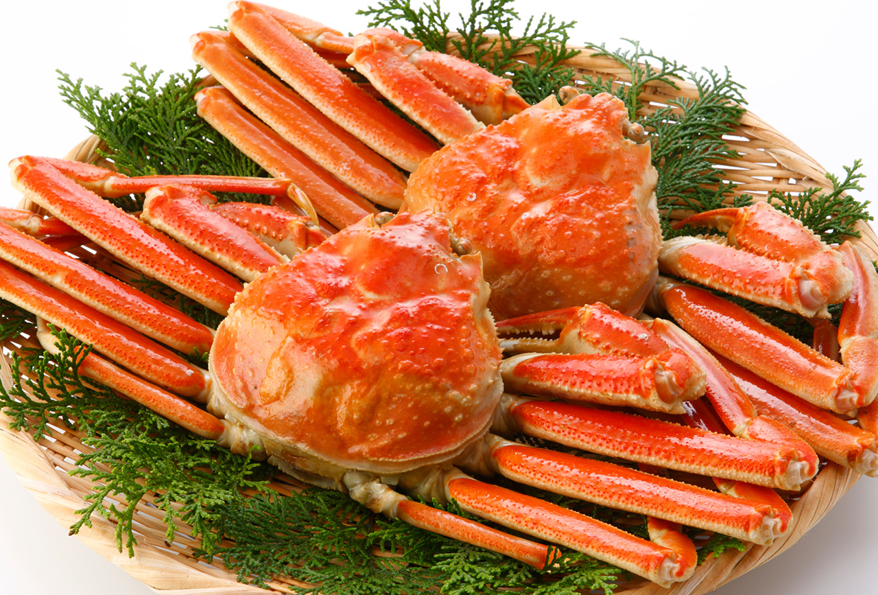 写真：ズワイガニ