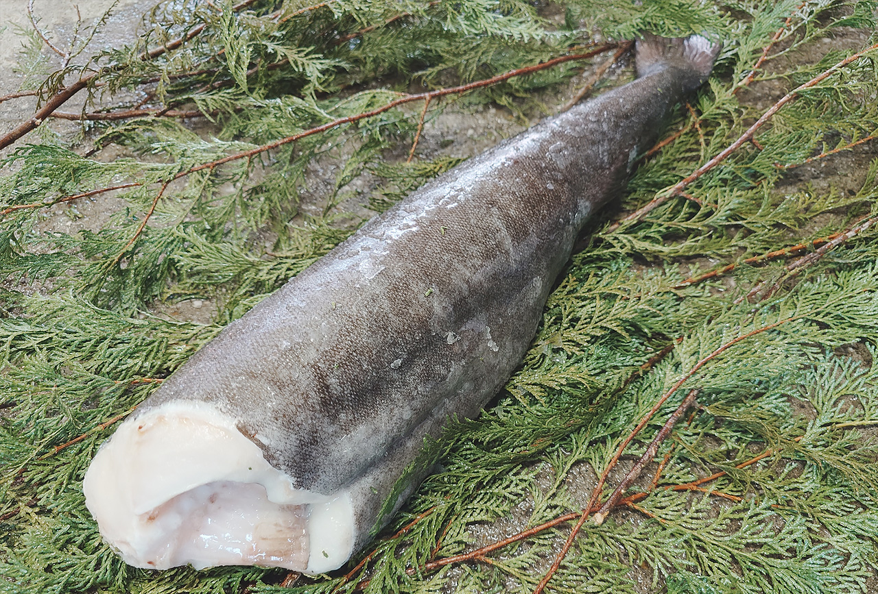 写真：銀だらドレス